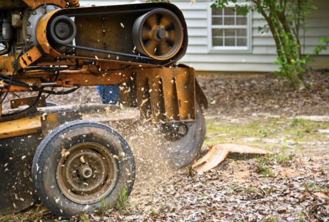 stump grinding Santee ca